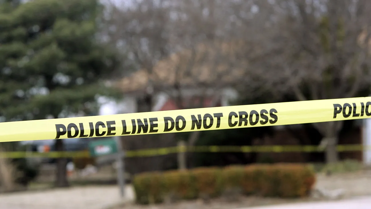 Fact vs. Fiction in Netflix True Crime Dramas